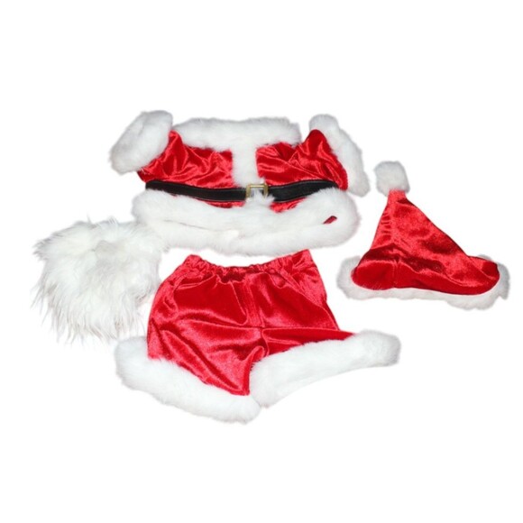 Build A Bear Other - Build A Bear Santa Claus Costume Jacket, Pants, Hat and Beard